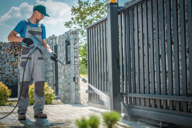Best Pre-Holiday Cleaning  in Csar Chvez, TX